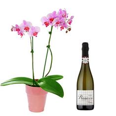 Orchid and Prosecco