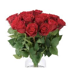 12 Red roses Hand tied 