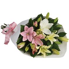 Hand tied Lilies New Zealand 