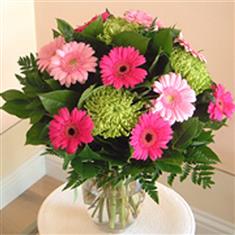 Gorgeous Gerberas