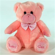 Baby Girl Teddy Sold as add-on