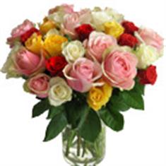 20 Mixed Roses 