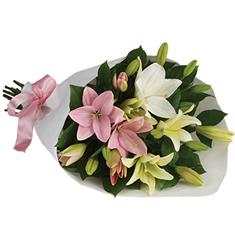 Handtied pinks AUSTRALIA 