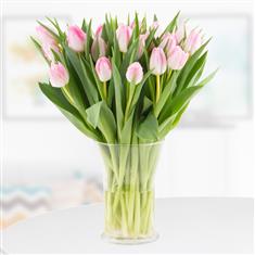Pink Tulip Hand tied 