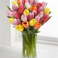  Tulip Hand tied 