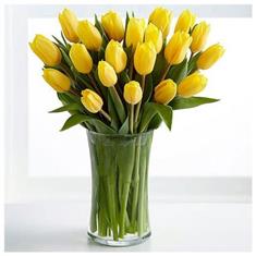 Yellow Tulip Hand tied 