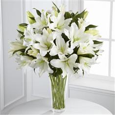 Easter White Lily 
