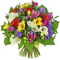 Freesia Hand tied 