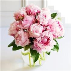 Peonies Hand tied