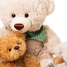 Teddy International 