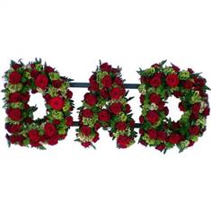 DAD FRAME RED ROSES