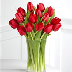 Red Tulips Hand Tied 